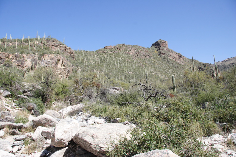 Tucson-Esperero Trail_03.JPG